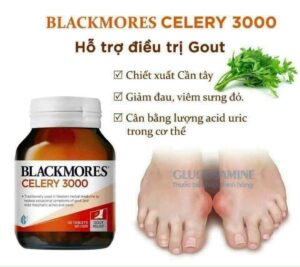 Hàng chuẩn ✈️ 🔥VIÊN UỐNG LÀM DỊU CƠN ĐAU VÀ NGĂN NGỪA GOUT TRỞ LẠI   #Bệnh_gút cũng ngày càng trở nên phổ biến và là nỗi lo lắng của rất nhiều người. Những cơn đau do gút thật kinh khủng, đúng là ko thể sống vui, sống khỏe nếu bị gút.  🇦🇺Tại Úc, các nhà khoa học đã nghiên cứu và bào chế ra sản phẩm thực phẩm chức năng có nguồn gốc 100% thiên nhiên từ #cây_cần_tây: tiện dùng, giúp hỗ trợ điều trị bệnh gút một cách an toàn và hiệu quả nhất.  💊VIÊN UỐNG PHÒNG NGỪA BỆNH GÚT BLACKMORES CELERY CHIẾT XUẤT CẦN TÂY ❇️Giúp tiêu viêm, có tác dụng giảm đau tự nhiên, làm giảm đau nhức xương khớp.  ❇️Giúp hoạt huyết, giải độc, tăng cường chuyển hóa lợi tiểu giúp đào thải acid uric trong máu.  ❇️Phòng ngừa, hỗ trợ điều trị bệnh gút; giảm sưng đau khớp, ngăn chặn bệnh gút tái phát mà không hề gây tác dụng phụ, ngay cả khi dùng lâu dài.   ⛔ Ngày uống 1-2 viên để đẩy lùi và phòng ngừa các cơn đau bệnh gút.